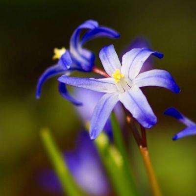 威斯尼斯wns888入口