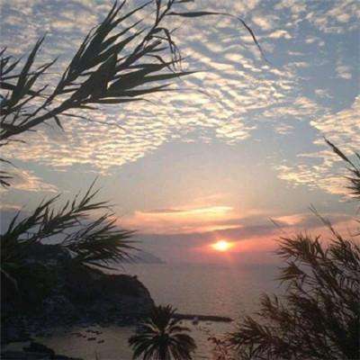 购彩中心welcome官网手机app下载截图