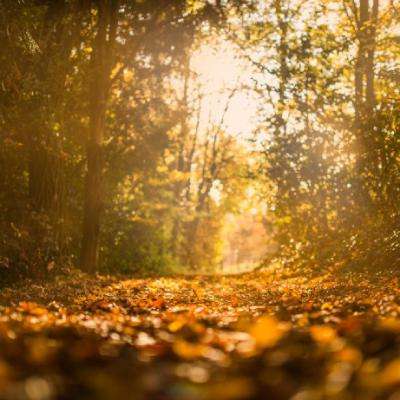 大发黄金版888下载手机app下载