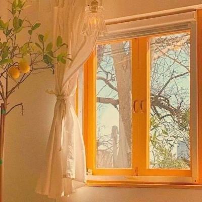 168极速赛车全天计划单期