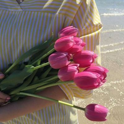 开博体育官方app下载