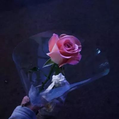 彩票平台wellcome